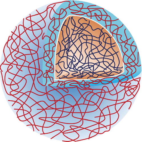 Figure 8. Illustrations of core-shell-structured hydrogels