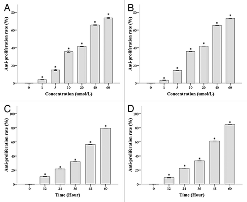 Figure 1. DHA inhibits proliferation of Hela and Caski cells in a dose- and time-dependent manner. (A) Hela cells were treated with different doses of DHA for 48 h. (B) Caski cells were treated with different doses of DHA for 48 h. (C) Hela cells were treated with 20 μmol/L of DHA for varying amounts of time (D) Caski cells were treated with 20 μmol/L of DHA for varying amounts of time.