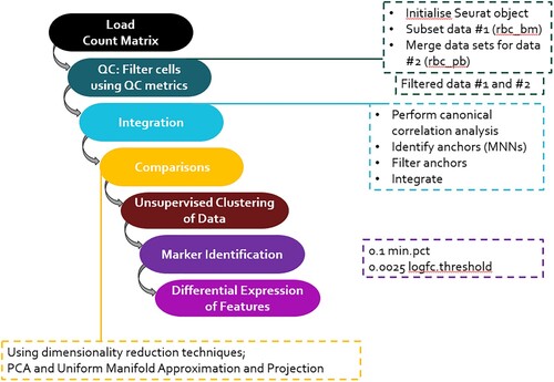 Figure 1. Workflow showing the processes followed in each stage of the analysis of the scRNA seq datasets.