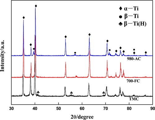 Figure 2. XRD patterns of the TCM, 700-FC and 980-AC samples.