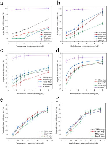 Figure 4. The inhibition ratio of extract isolated from Stigma maydis on (a) α-amylase, aqueous extract, (b) α-amylase, alcohol extract, (c) α-glucosidase, aqueous extract, (d) α-glucosidase, alcohol extract, (e) pancreatic lipase, aqueous extract, (f) pancreatic lipase, alcohol extract with four maturity stages.