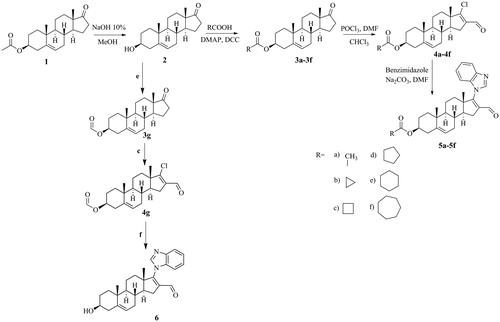 Figure 1. Synthetic route for the preparation of six novel steroidal derivatives, 5a–5f and 6. (a) NaOH 10%, MeOH; (b) RCOOH, 4-dimethylaminopyridine (DMAP), N,N′-dicyclohexyl carbodiimide (DCC); (c) phosphorus oxychloride (POCl3), dimethyl formamide (DMF), CHCl3; reflux, 5 h; (d) Benzimidazole, Na2CO3, DMF; (e) Formic acid, reflux, 5 h; (f) 1. Benzimidazole, Cs2CO3, DMF, 60 °C, 2 h; 2. CHCl3/MeOH, HCl, 40 °C, 3 h.