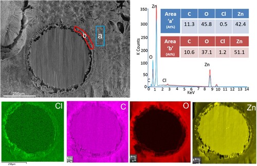 Figure 3. SEM image (top left) of a wire cross-section used for EDS mapping (below). The EDS sum spectra of area ‘a’ and ‘b’ are shown top right. The EDS maps show higher Cl but lower C and O concentration for the attacked layer ‘b’ compared to the dense layer ‘a’.