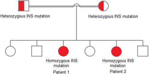 Figure 1 Pictorial representation of the pedigree of the family.