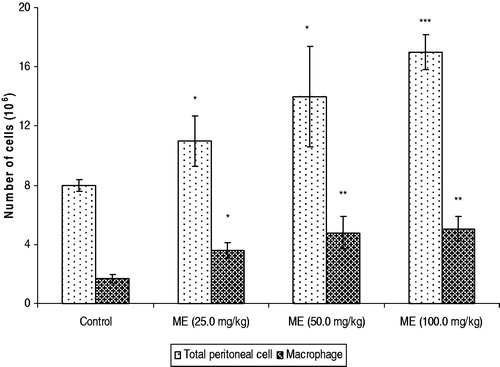 Figure 4. Effects of ME on the enhancement of macrophages and peritoneal cells. Results are shown as mean ± SEM (standard error of mean), where significant values are *p < 0.05, **p < 0.01 and ***p < 0.001 when (EAC + ME) treated mice compared with EAC bearing control mice (EAC bearing only).