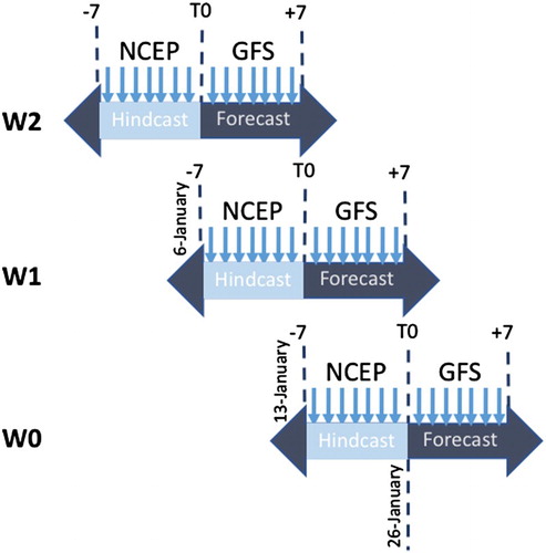 Figure 1. Timeline of the Madeira oceanic forecasting system. Atmospheric forcing is renewed daily, whereas the oceanic lateral boundary forcing (MERCATOR) is renewed weekly, nevertheless the modelling forecasting system renews forecasts every day in order to update atmospheric conditions. NCEP represent hindcast atmospheric forcing (reanalysis), whereas GFS represent forecast only products. Weekly-MERCATOR product has 21 days (14 hindcasts and 7 forecasts), thus allowing to advance hindcast/forecasts every day.