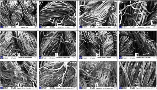 Figure 16. SEM images of treated and untreated cotton fabrics(A: no rubbs, B: 9N 10 rubbs, C: 9N 20 rubbs, D: 9N 30 rubbs, E: microcapsules 150°C fixed + no rubbs, F: microcapsules 150°C fixed + 9N 10 rubbs, G: microcapsules 150°C fixed + 9N 20 rubbs, H: microcapsules 150°C fixed + 9N 30 rubbs, J: microcapsules 150°C fixed + UV, K: microcapsules 150°C fixed + 9N 10 rubbs + UV, L: microcapsules 150°C fixed + 9N 20 rubbs + UV, M: microcapsules 150°C fixed + 9N 30 rubbs + UV).