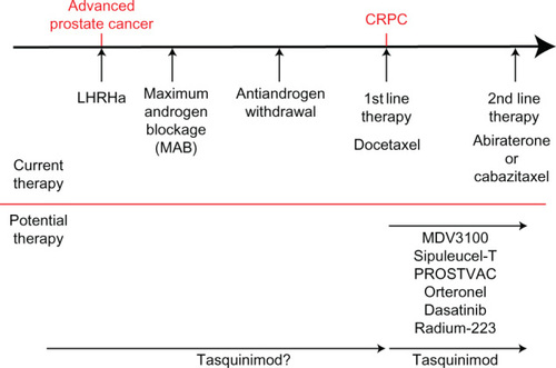 Figure 3 Prostate cancer therapeutic options.