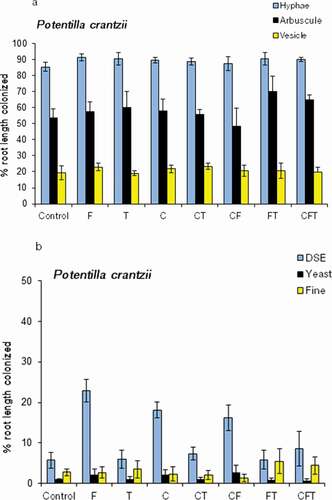 Figure 2. Average colonization frequency by (A) arbuscular fungal hyphae, arbuscules, and vesicles and (B) dark septate endophytes (DSE), yeast fungi (yeasts), and fine endophytes (FE) in the roots of Potentilla crantzii grown for three years in field plots exposed to the fertilization (F), cutting (C), and trampling (T) treatments and their interactions (N = 40).