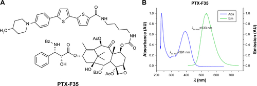 Figure S5 Paclitaxel labelled with a thiophene-based fluorescent dye (PTX-F35).Notes: (A) Molecular structure of PTX-F35. (B) Absorbance and emission spectra of PTX-F35.Abbreviation: PTX-F35, paclitaxel labeled with a thiophene-based fluorescent dye.