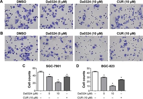 Figure 6 Da0324 inhibits invasion of gastric cancer cells.