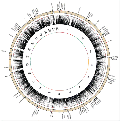 Figure 3. Circos plot depicting the distribution of maximal heritability estimates across the genome. Moving from inner to outer circles, first circle represents chromosomes. Maximal heritability of all 472,494 probes has been represented in second circle as scatter plot (values ranging from 0 to 100%). Third circle represents maximal heritability of the 105 FDR-corrected significant probes as scatter plot with genes name in which probes are located. Note: only 4 of the 5 genes (ARID3A, ARRDC2, MAST1, SCAMP4, and ZNF235) on chromosome 19 are shown due to place limitation.