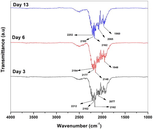 Figure 8. FTIR spectra of alloy A day 3 showing acetylenic compounds stretching at 2162 cm−1. Day 6 showing the acetylenic compound peak was less intensified (2148 cm−1), and the carbonyl peak was still present at 1948 cm−1. Day 13 showing acetylenic compounds at a stretch of 2162 cm−1, indicating decreased amounts of acetic acid produced by the bacteria.