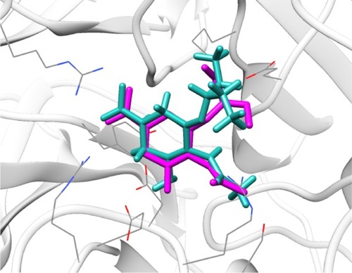 Figure 1 Illustration of redocking of crystallographic oseltamivir carboxylate back into N9_R294K (PDB code 4MWW). The docking mode is shown in light sea green, cocrystallized orientation is shown in magenta, receptor protein N9_R294K is shown in light gray, relevant side chains of N9_R294K are shown as wires.
