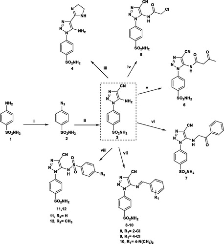Scheme 1. Reagents and conditions: (i) NaN3/H2SO4/NaNO2/r.t.; (ii) CH2(CN)2/EtONa/EtOH/r.t.; (iii) NH2CH2CH2NH2/CS2/reflux 6 h; (iv) ClCH2COCl/DMF/r.t.; (v) CH3COCH2COOC2H5/reflux 3 h; (vi) PhCOCH2Br/EtOH/reflux 3 h; (vii) Ar-CHO/AcOH/reflux 5 h; (viii) Ar-SO2Cl/pyridine/8 h.