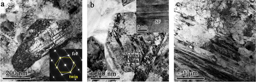 Figure 5. TEM observations of microstructural evolution. (a) Deformation twins. Inset: SAED pattern showing twin relationship. (b) Stacking faults (SFs). Inset: high-resolution TEM image showing lattice image of SF. (c) Tangled dislocations of high density.