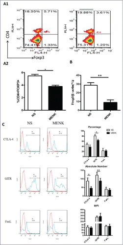 Figure 5. MENK suppressed splenic CD4+Foxp3+ Treg cells in S180 model mice. (A1 and A2), Isolated splenocytes were stained with anti-CD4 (FITC) and anti-Foxp3 (APC) and submitted to FCM analysis. (B), The mRNA level of Foxp3 in splenocytes of both groups. (C), The cells were gated on CD4+Foxp+ and analyzed for CTLA-4, GITR and FasL- positive cells, respectively. Data was analysis by FCS Express and Flowjo software. The red line was the isotype control staining; the blue line indicated specific staining mentioned above. The data were representative of at least 3 independent experiments with similar results and were presented as the mean±SD. *P < 0.05; **P < 0.01 vs. that in control group (NS group) as determined by Student's t test.