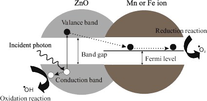 Figure 7. Mechanism of action of doped NP.