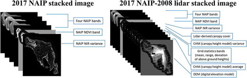Figure 13. Individual input layers used to create both versions of the stacked image: the 2017 NAIP stacked image and the 2017 NAIP-2008 lidar stacked image (figures were modified from Mutlu et al. (Citation2008))