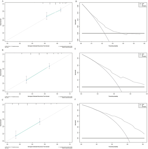 Figure 5 Calibration curves and DCA curves of the nomogram in the training cohort. (A) 1-year calibration curves of the nomogram in the training cohort. (B) 3-year calibration curves of the nomogram in the training cohort. (C) 5-year calibration curves of the nomogram in the training cohort. (D) 1-year DCA curves of the nomogram in the training cohort. (E) 3-year DCA curves of the nomogram in the training cohort. (F) 5-year DCA curves of the nomogram in the training cohort.