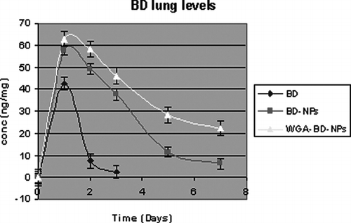 FIG. 3 Lung levels of budesonide after treatment with BD, BD-NPs, and WGA-BD-NPs.