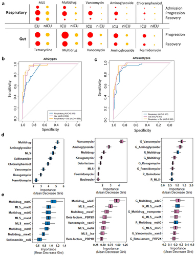 Figure 6. Respiratory tract and gut antibiotic resistance dynamics during COVID-19 progression and their diagnostic potential for disease severity.