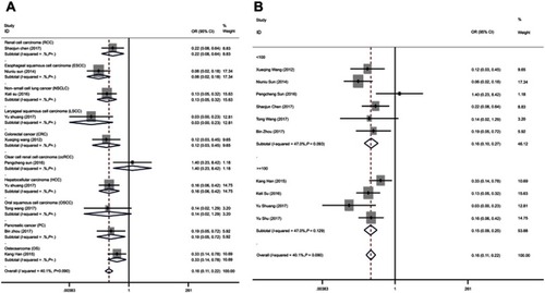 Figure 2 Forest plots of the subgroup analyses evaluating ORs of miR-195 for TNM by the factors of (A) cancer type; (B) sample size.Abbreviation: OR, overall survival.