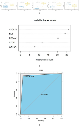 Figure 6 Analysis of differential expression and diagnostic value of hub genes in EU and EC. (A): Analysis of CTGF, CXCL12, NGF, PECAM1, and WNT5A in EU and EC. (B): At GSE141549, the diagnostic value of CTGF, CXCL12, NGF, PECAM1, WNT5A in EU and EC were analyzed. (C):The diagnostic value of CTGF, CXCL12, NGF, PECAM1, and and WNT5A was verified using the GSE7305 dataset. (D): To verify the expression difference of CTGF, CXCL12, NGF, PECAM1, and WNT5A, using the GSE7305 dataset. (E): Explore the difference in the importance of hub genes for the diagnosis of EU and EC by using the random forest algorithm. (F): Value of joint diagnosis of hub genes using SVM algorithm.