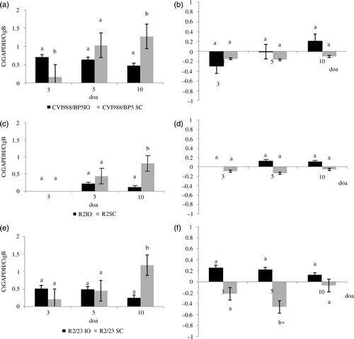 Figure 3.  Effect of route of vaccination on the load of vaccine DNA in the lung when vaccines were administered in ovo at 18 days of embryonation (i.o.) and subcutaneously at day of age (s.c.). Load of serotype 1 MDV vaccines DNA was evaluated by real-time PCR. Results expressed as the relative Ct ratio of the amplification of the chicken GAPDH gene and the MDV gB (see Materials and Methods). Results presented as the mean and the standard error. 3a: Load of DNA of CVI988/BP5 in the lung when administered i.o. and s.c. at 3, 5, and 10 days of age (doa). 3b: Load of viral DNA in the lung relative to the load of viral DNA in the spleen (load of viral DNA in the lung – load of viral DNA in the spleen) when CVI988/BP5 was administered i.o. and s.c. 3c: Load of DNA of R2 in the lung when administered i.o. and s.c. at 3, 5, and 10 doa. 3d: Load of viral DNA in the lung relative to the load of viral DNA in the spleen when R2 was administered i.o. and s.c. 3e: Load of DNA of R2-23 in the lung when administered i.o. and s.c. at 3, 5, and 10 doa. 3f: Load of viral DNA in the lung relative to the load of viral DNA in the spleen when R2/23 was administered i.o. and s.c. Same letter above the bar indicates that no statistically significant differences were detected (P < 0.05). *Statistically significant differences between the load of vaccine DNA in the lung and in the spleen.