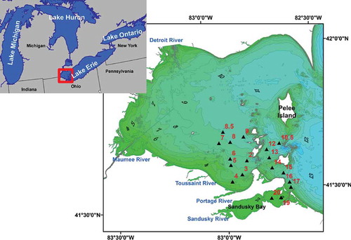 Figure 1. Bathymetric map (in meter depth) of the Western Basin of Lake Erie and the locations of 18 sampling stations (in red) visited during multiple cruises on Research Vessels Gibraltar. The lake interacts with terrestrial environment through fluxes of the Sandusky, Portage, Toussaint and other rivers such as the Maumee and Detroit, which drain into the far western side of the basin. For full color versions of the figures in this paper, please see the online version.