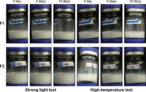 Figure 8 Pictures of cubosomes before and after the stress test under strong light and high temperature (60°C) for up to 10 days.