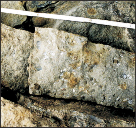 Fig. 8  Remnants of placoderms in grey sandstones in unit 5 of the Fiskekløfta Member (Tordalen Formation) within a tectonic slice at the northern cliff of Muninelva (Munin River). (Photo by B. Michaelsen.)
