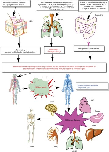 Figure 1 Schematic representation of breach in host innate immunity due to different bacterial infections and development of bacteremia and sepsis.Notes: Once the bacteremia is developed in the host and the initial control of systemic infection fails, it leads to increased activation of the innate immune response systemically. This exaggerated innate immune response causes MOD or MODS. The development of MODS leads to the ultimate death of the patients.Abbreviations: ARDS, acute respiratory distress syndrome; DIC, disseminated intravascular coagulation; IBD, inflammatory bowel disease; MOD, multiorgan damage; MODS, multiorgan dysfunction syndrome.