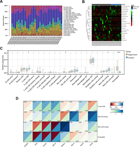 Figure 8 Correlation analyses between the proportion of DIICs and the expression of key FRGs. (A) The proportion of infiltrating immune cells estimated by the CIBERSORT algorithm on hearts from the GSE79962 dataset. (B) Clustered heatmap of the proportion of DIICs in the GSE79962 dataset (C) Comparison of infiltrating immune cells proportion between control and septic hearts in the GSE79962 dataset, immune cell with zero proportion was hidden. (D) Correlation heatmap of DIICs proportion with key FRGs expression in the septic hearts from the GSE79962 dataset. Ncontrol = 11, Nseptic heart = 20. *P < 0.05, ***P < 0.001.