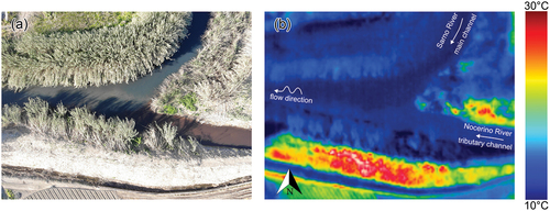Figure 7. Example of UAS-based imagery obtained with (a) an RGB and (b) a thermal camera at the confluence of the Nocerino River and the Sarno River. The image shows a clear flow of pollutants coming from the right tributary.