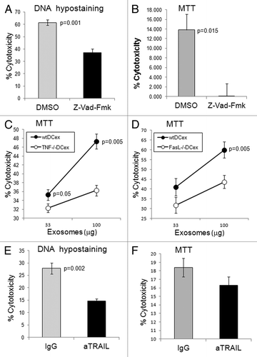 Figure 4. DCex induce apoptosis in tumor cells via TNF superfamily ligands. A-B. DCex induce apoptosis in tumor cells. Fifty micrograms of wt mDCex were coincubated with 2,500 B16 melanoma cells in the presence of 2% DMSO or 200 μM Z-VAD-fmk for 5 h or 48 h and tested using the apoptosis specific Hoechst DNA hypo-staining (A) and MTT (B) assays, respectively. p value represents statistically significant differences between DCex cytotoxic activities in the presence of DMSO and Z-VAD-fmk C-D. DCex of TNF- (Tnf−/−) and FasL- (Fasl−/−) deficient mice have impaired antitumor cytotoxic activity. Mature Tnf−/− DCex (C) and Fasl−/− DCex (D) were compared with mature wtDCex for their abilities to kill B16 melanoma cells as measured using 48 h MTT assay. p values represent statistically significant differences between tumoricidal activities of wtDCex vs. Tnf−/− DCex or Fasl−/− DCex. E-F. Neutralization of TRAIL inhibits DCex-mediated tumoricidal activity. Fifty micrograms of wt mDCex were coincubated with 2,500 B16 melanoma cells in the presence of 20 μg of IgG control or anti-TRAIL antibodies for 5 h or 48 h and tested using the apoptosis specific DNA hypo-staining (E) and MTT (F) assays, respectively. p values represent statisticallly significant differences between DCex cytotoxic activities in the presence of IgG control and anti-TRAIL antibodies. Data are from representative experiments of 2 experiments performed and represent % cytotoxicity means ± SD of triplicates.