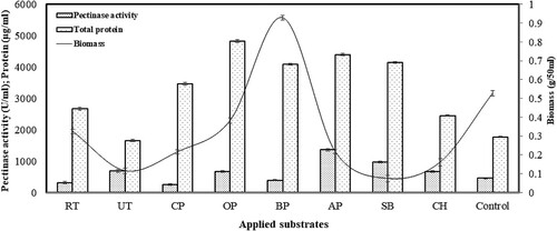 Figure 1. Effect of various substrates on the pectinase production, protein concentration and mycelia growth in liquid static surface ferementation (LSSF) by Aspergillus parvisclerotigenus KX928754. Where RT: raw tea; UT: used tea; CP: citrus peel; OP: orange peel; BP: banana peel; AP: apple pomace; SB: sugarcane bagasse; CH: coffee husk; Control: Czapek-Dox medium containing 1% pectin but without sucrose. The data represents mean ± standard error of replicates (n = 3).