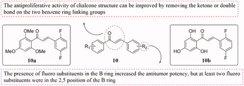 Figure 6. Simple chalcone compounds of 10.