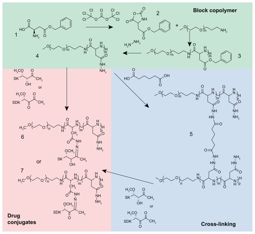 Figure 2 Synthesis of block copolymers, cross-linked block copolymers, and drug conjugates.