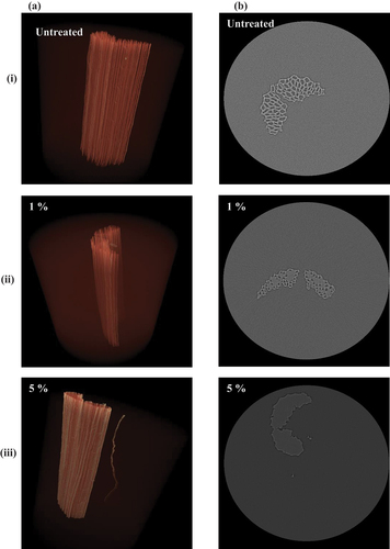 Figure 4. Internal microstructure XRM scans of selected single fibres, column wise (a) is the 3D external scan and (b) the internal cross-sectional scan. Row wise respectively (i) to (iii) is the untreated, 1% and 5% alkali treated fibre.