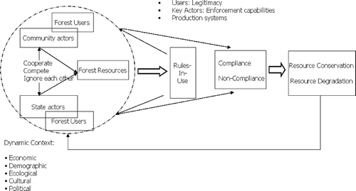 Figure 3. Rules and conservation behaviour at the community level.