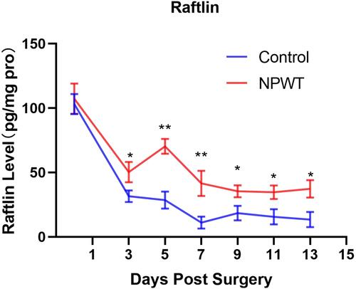 Figure 7 Raftlin levels of the control and NPWT-treated groups were tested on days 0, 3, 5, 7, 9.11, and 13 post surgery. * p < 0.05, ** p < 0.01.