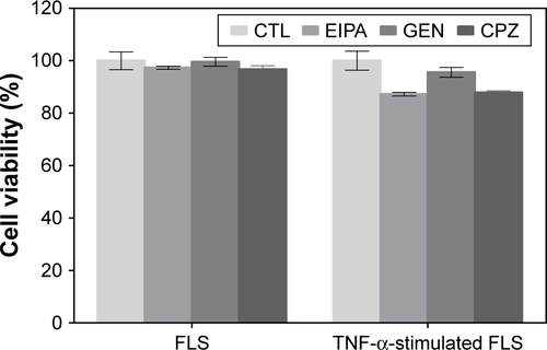 Figure S4 Cytotoxicity of endocytosis inhibitors by FLS was determined by MTT analysis.Notes: Cells were treated with EIPA (50 μM), CPZ (20 μM), and GEN (200 μM) for 3 h. All data represent mean ± SEM (n=3).Abbreviations: CTL, not treated control; CPZ, chlorpromazine; EIPA, 5-(N-ethyl-N-isopropyl)amiloride; FLS, fibroblast-like synoviocytes; GEN, genistein; MTT, 3-(4, 5-dimethylthiazol-2-yl)-2, 5 diphenyltetrazolium bromide; SEM, standard error of the mean; TNF-α, tumor necrosis factor-α.