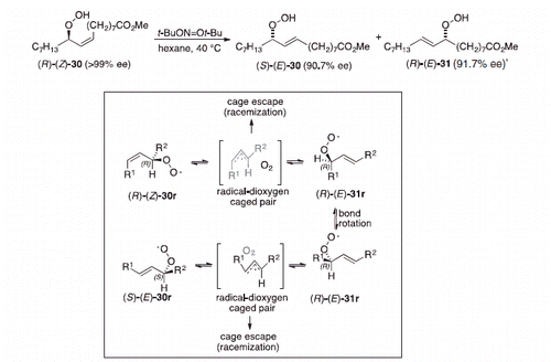 Scheme 15. The [3,2] allylperoxyl rearrangement.