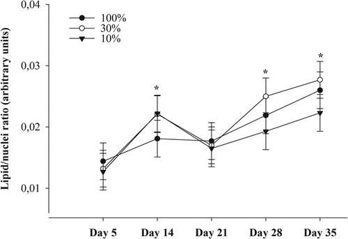 Figure 2. Influence of a gradual decrease in the concentrations of insulin, dexamethasone, rosiglitazone, 3-isobutyl-1-methylxanthine (IBMX) and biotin in the induction medium to 30% and 10% of their original concentrations on lipid incorporation by bovine ASC. The ‘100% medium’ contained 10 µg/mL insulin, 1 µM dexamethasone, 20 µM rosiglitazone, 250 µM IBMX and 33 µM biotin in the recipes used by Riedel et al. [Citation22]. The results are presented as means ± SEM of three independent experiments with two replicates. *Asterisks indicate an effect of factor day with P < 0.05 to day 5