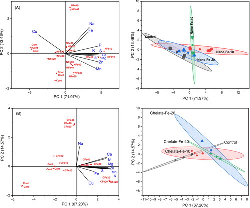 Figure 2. Principal components and cluster analyses for the nutrients and heavy metals in tomato fruits affected by different rates of the nano iron (A) and chelated Fe (B) treatments.