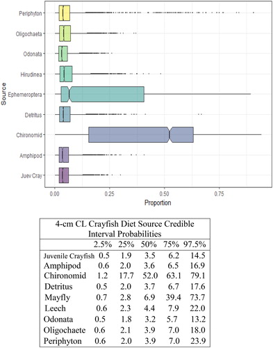 Figure 6. Proportional diet contributions and credible intervals from 9 littoral food sources for 4 cm CL northern crayfish in Buffalo Lake (n = 84). Members of the second largest size class of northern crayfish obtained for this stable isotope analysis were trapped in baited minnow traps spatially stratified throughout Buffalo Lake in depths ranging from 1 to 5 m. The 4 cm CL size class also represents the largest proportion of the total crayfish used for this study. The wide distribution in credible intervals implies a large amount of uncertainty in the percent contribution estimates for littoral prey items; however, we observe that the diet in this size class is now dominated by Ephemeroptera and Chironomidae with limited proportional diet contribution from juvenile crayfish.