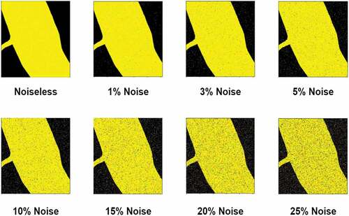 Figure 10. Example of complete random label noise in a range from 1% to 25%.