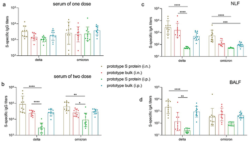 Figure 2. The prototype SARS-CoV-2 vaccine induced cross-reactive antibody responses in mice. a. Delta and omicron S protein-specific IgG titers in serum samples collected after the first dose (n = 10). b. Delta and omicron S protein-specific IgG titers in serum samples collected after the second dose (n = 10). c–d. Delta and omicron S protein-specific IgA titers in NLF (c) and BALF (d) collected after the second dose (n = 10).