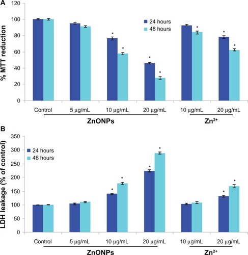 Figure 3 Cytotoxicity of ZnONPs and Zn2+ in A375 cells for 24 hours and 48 hours. (A) MTT reduction. (B) LDH leakage.Notes: Each value represents the mean ± SE of three experiments, performed in duplicate. *P < 0.01 vs control.Abbreviations: ZnONPs, zinc oxide nanoparticles; MTT, [3-(4, 5 dimethylthiazol-2-yl)-2,5-diphenyltetrazolium bromide]; LDH, lactate dehydrogenase.